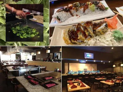 Ryu Sushi & Teppanyaki, business photo 1